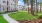 outdoor green area with trees in front a building